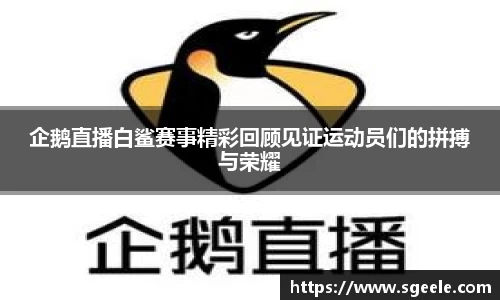 企鹅直播白鲨赛事精彩回顾见证运动员们的拼搏与荣耀