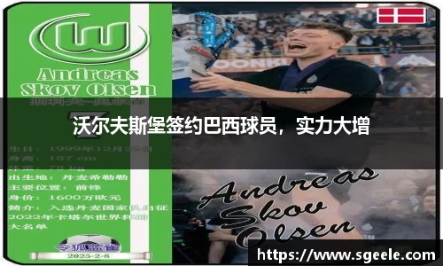 沃尔夫斯堡签约巴西球员，实力大增