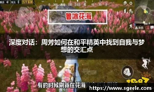 雷竞技官网地址