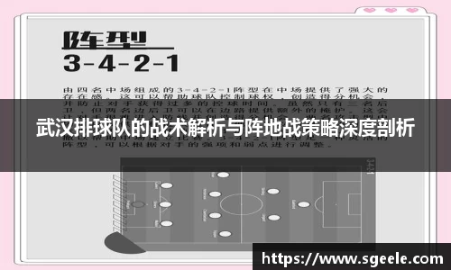 武汉排球队的战术解析与阵地战策略深度剖析