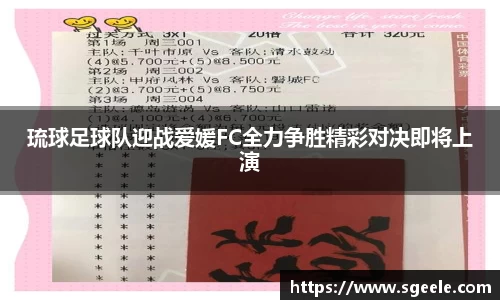 琉球足球队迎战爱媛FC全力争胜精彩对决即将上演